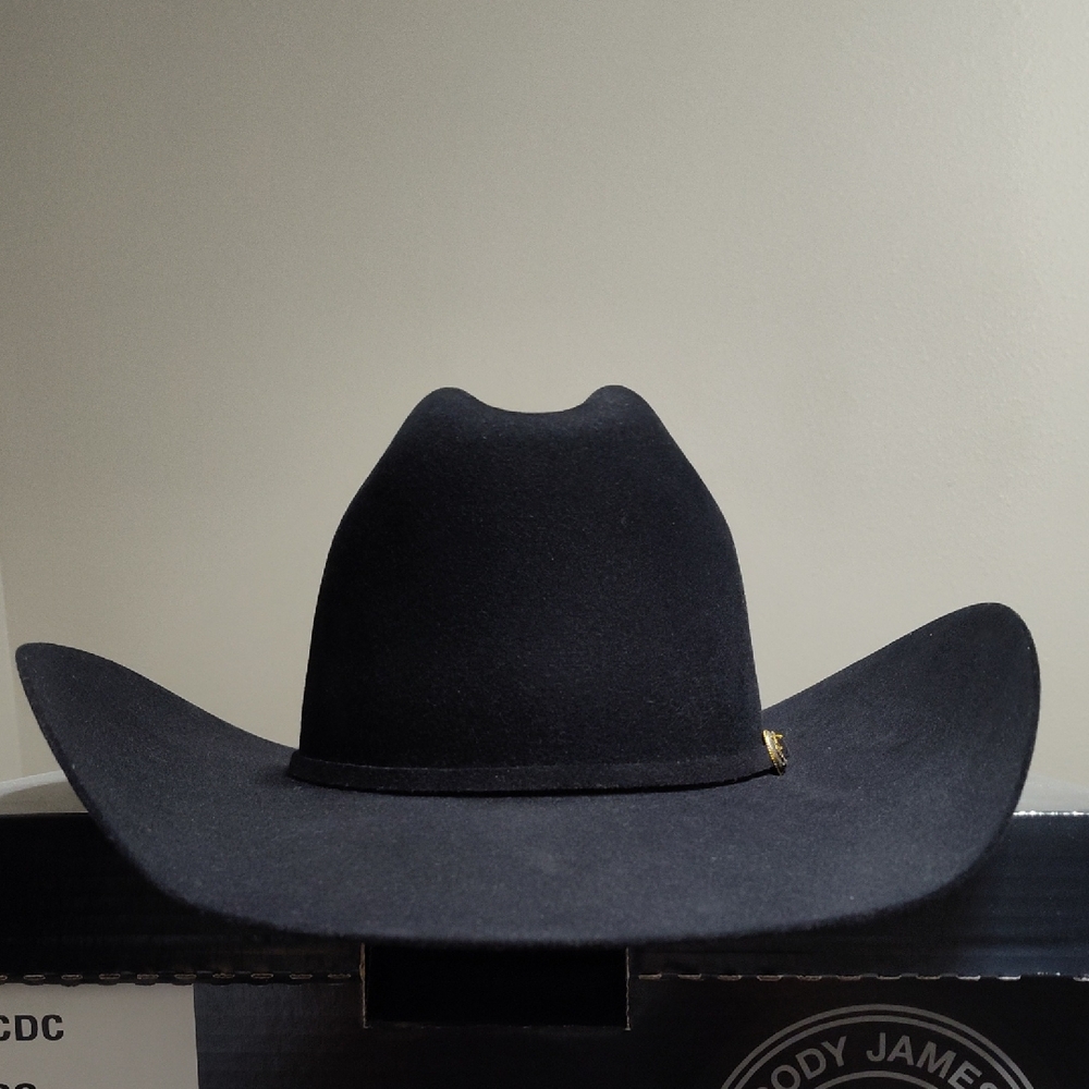 Elegant Black Western Hat